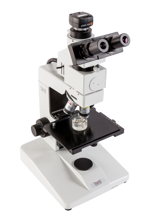 Auflichtmikroskop Hund H600