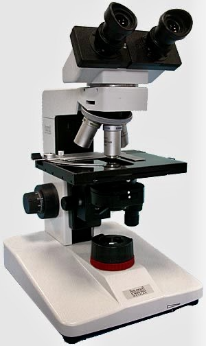 Phasenkontrast Mikroskop