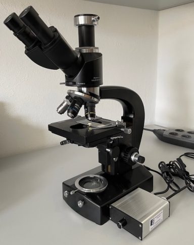Zeiss Jena Mikroskop